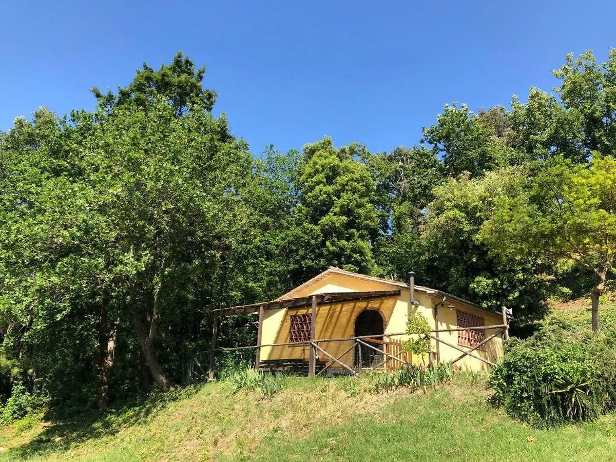 Agriturismo Fattoria La Prugnola Montescudaio