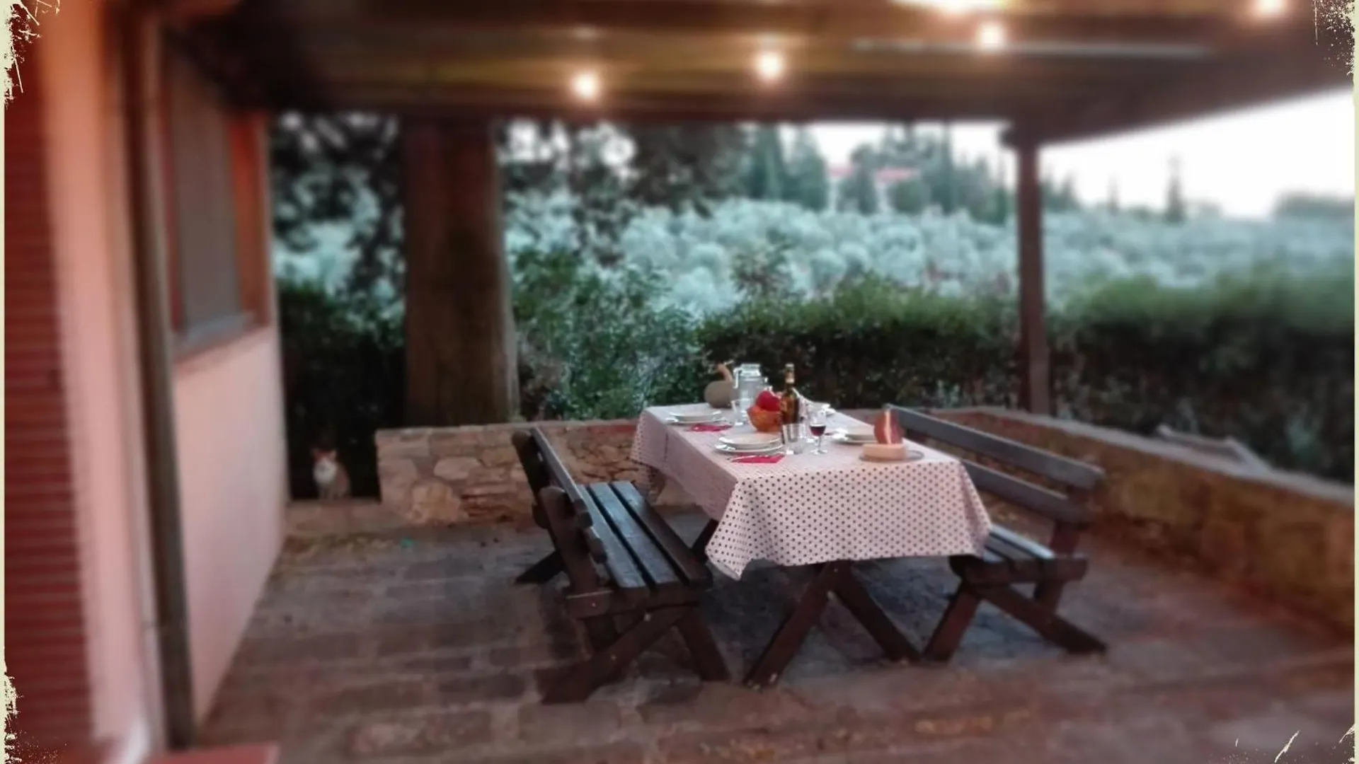 Agriturismo Fattoria La Prugnola Montescudaio 0*,