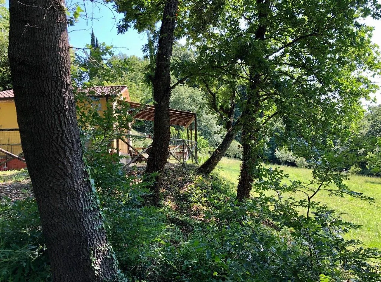 Agriturismo Fattoria La Prugnola Montescudaio Farmház