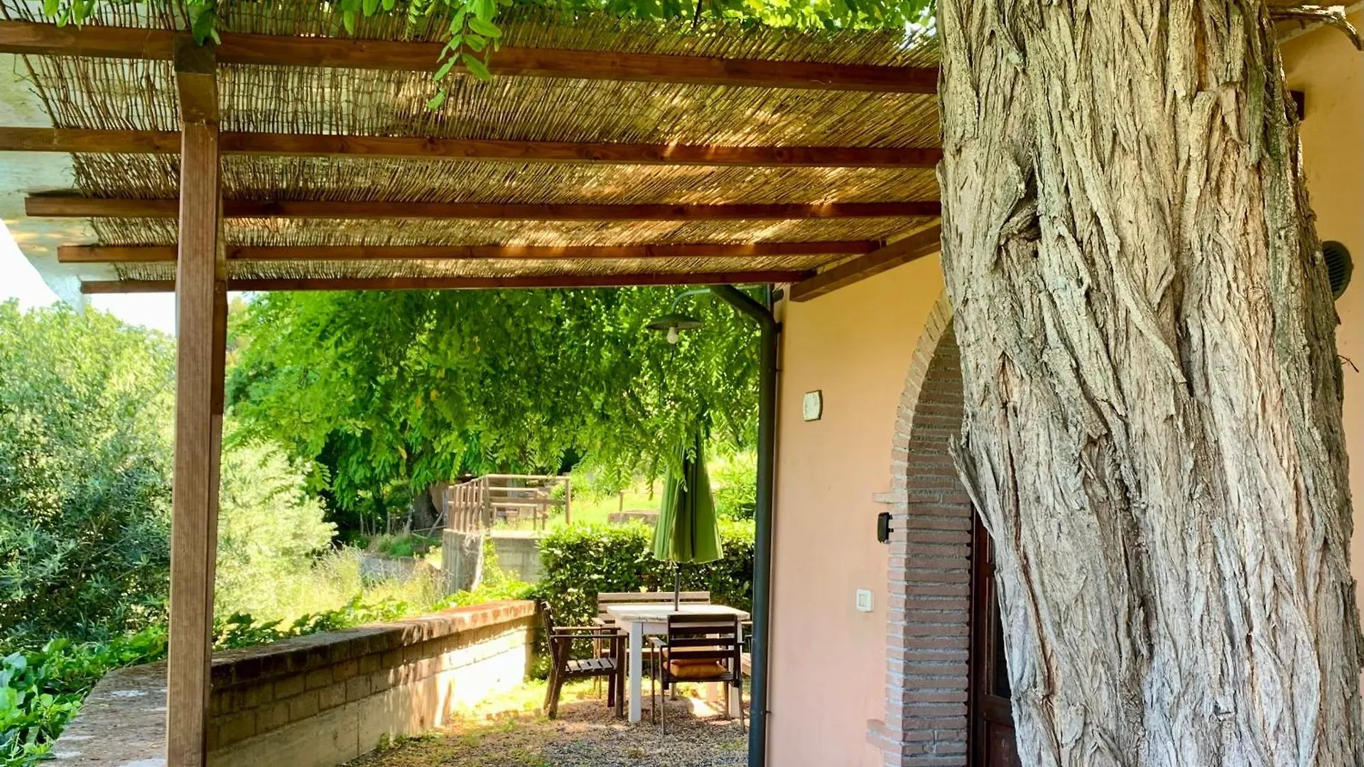 Agriturismo Fattoria La Prugnola Montescudaio